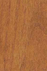 Cinnamon Stain on Alder